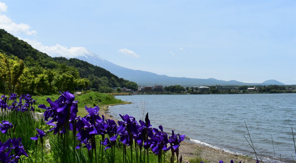 plan-podróży-poj-japonii