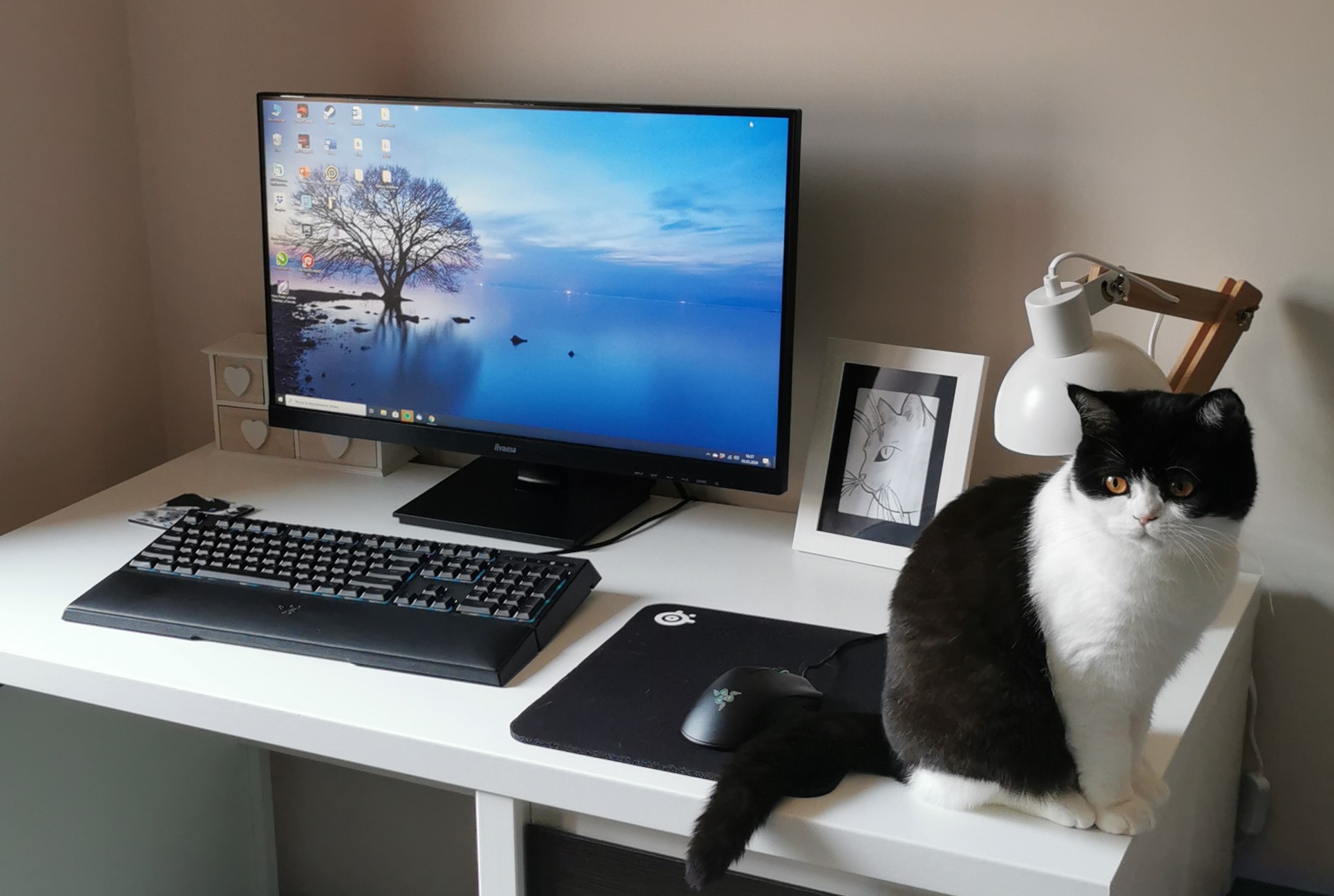 Read more about the article Po co copywriterowi blog? Mam dwa mocne argumenty