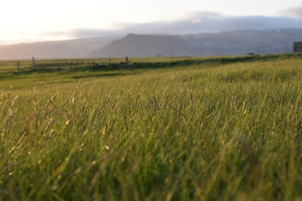 białe-noce-na-islandii