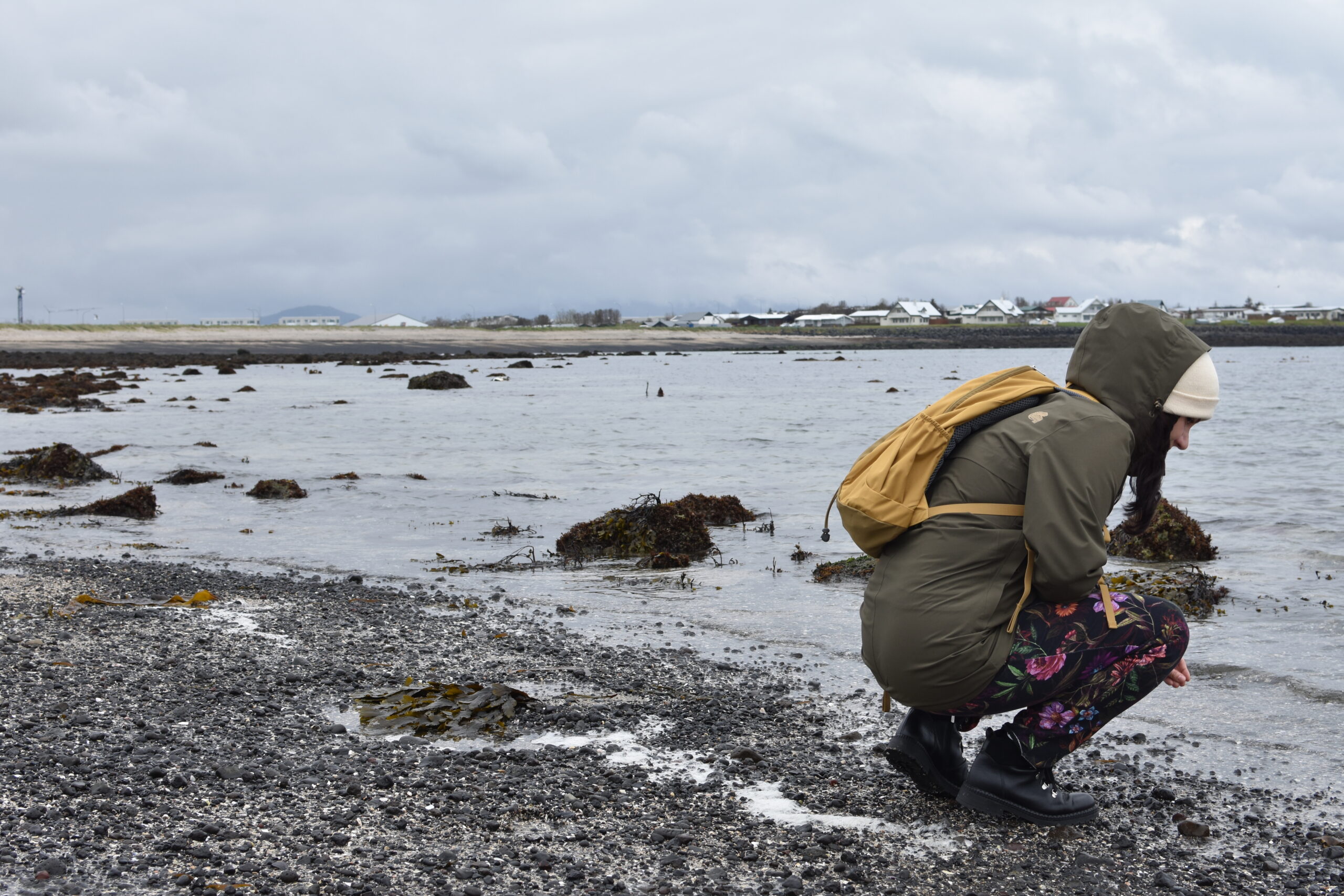 Read more about the article Islandia część I. Moje (często sprzeczne) wrażenia z Reykjaviku
